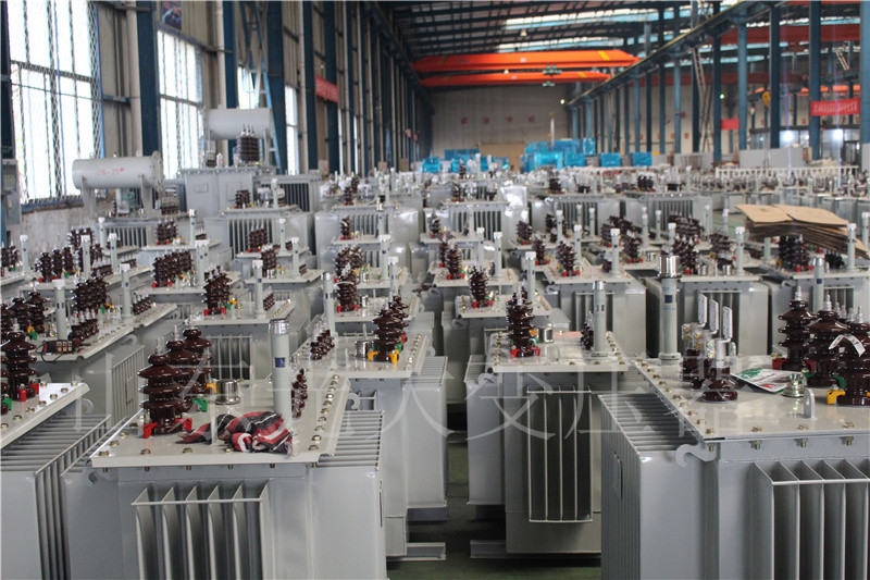 峨山S22-800KVA/10KV